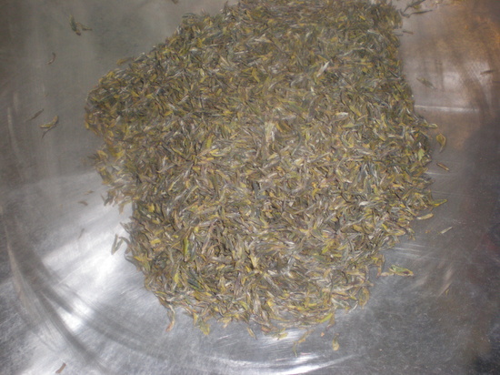 92656b3fdcc1aa745be7649b8ca0a16b_1614930719_3918.jpg 92656b3fdcc1aa745be7649b8ca0a16b_1614930719_3918.jpg