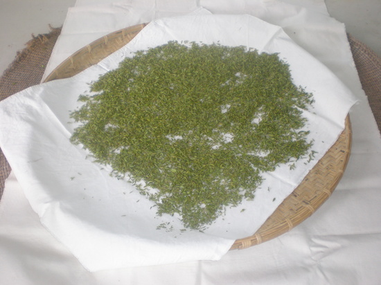 92656b3fdcc1aa745be7649b8ca0a16b_1614930719_5725.jpg 92656b3fdcc1aa745be7649b8ca0a16b_1614930719_5725.jpg