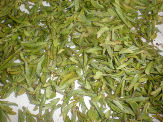 92656b3fdcc1aa745be7649b8ca0a16b_1614930719_6414.jpg 92656b3fdcc1aa745be7649b8ca0a16b_1614930719_6414.jpg