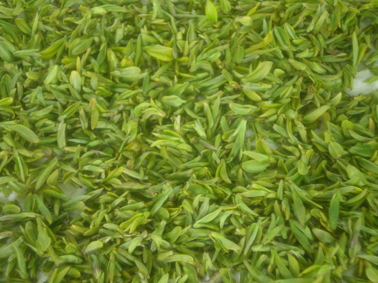 92656b3fdcc1aa745be7649b8ca0a16b_1614930719_7133.jpg 92656b3fdcc1aa745be7649b8ca0a16b_1614930719_7133.jpg