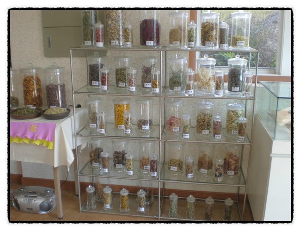 b2399830103a176fdc51c31411465b3e_1615170600_2345.jpg b2399830103a176fdc51c31411465b3e_1615170600_2345.jpg