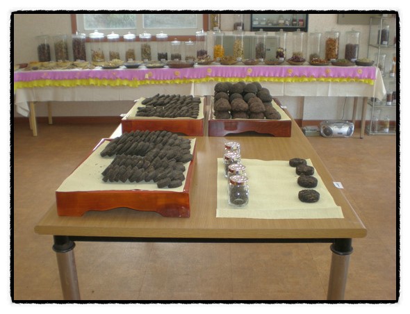 b2399830103a176fdc51c31411465b3e_1615170600_3953.jpg b2399830103a176fdc51c31411465b3e_1615170600_3953.jpg