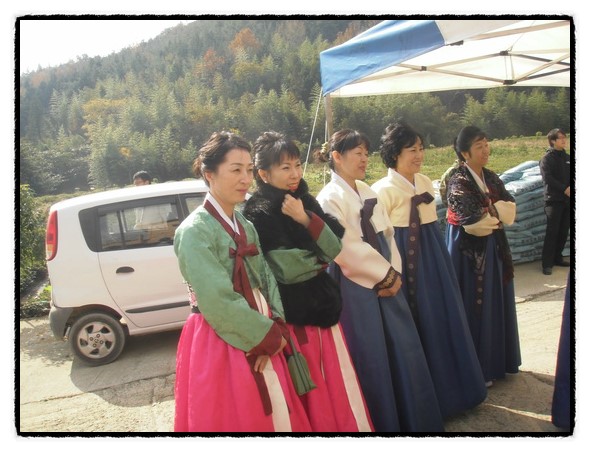 b2399830103a176fdc51c31411465b3e_1615171348_5205.jpg b2399830103a176fdc51c31411465b3e_1615171348_5205.jpg