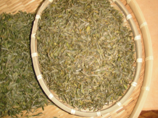 b2399830103a176fdc51c31411465b3e_1615172173_2852.jpg b2399830103a176fdc51c31411465b3e_1615172173_2852.jpg