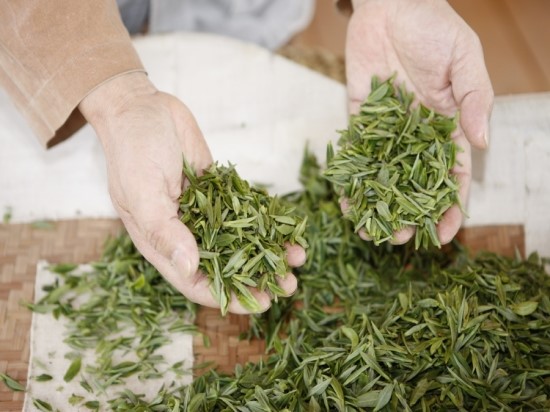 b2399830103a176fdc51c31411465b3e_1615176061_3738.jpg b2399830103a176fdc51c31411465b3e_1615176061_3738.jpg