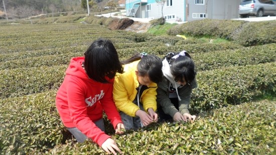 b2399830103a176fdc51c31411465b3e_1615176071_7275.jpg b2399830103a176fdc51c31411465b3e_1615176071_7275.jpg