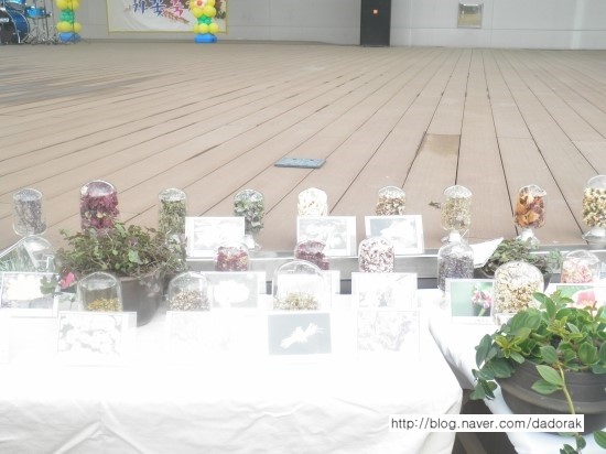 b2399830103a176fdc51c31411465b3e_1615176598_1768.jpg b2399830103a176fdc51c31411465b3e_1615176598_1768.jpg