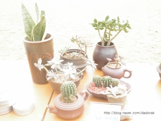 b2399830103a176fdc51c31411465b3e_1615176598_6352.jpg b2399830103a176fdc51c31411465b3e_1615176598_6352.jpg