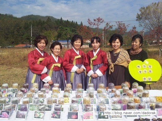 b2399830103a176fdc51c31411465b3e_1615176924_6248.jpg b2399830103a176fdc51c31411465b3e_1615176924_6248.jpg