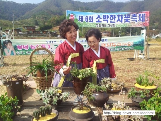 b2399830103a176fdc51c31411465b3e_1615176924_9591.jpg b2399830103a176fdc51c31411465b3e_1615176924_9591.jpg