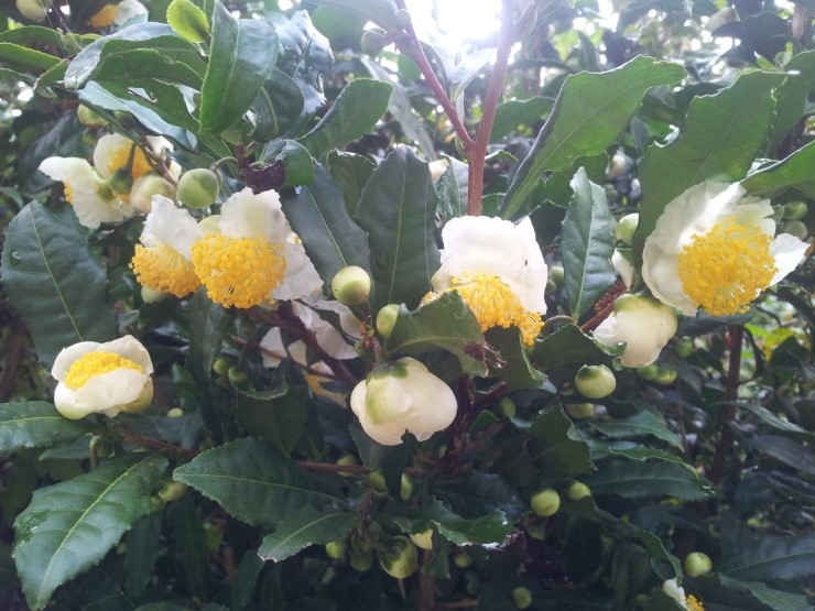 b2399830103a176fdc51c31411465b3e_1615177305_8355.jpg b2399830103a176fdc51c31411465b3e_1615177305_8355.jpg