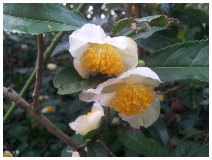 b2399830103a176fdc51c31411465b3e_1615177305_9152.jpg b2399830103a176fdc51c31411465b3e_1615177305_9152.jpg