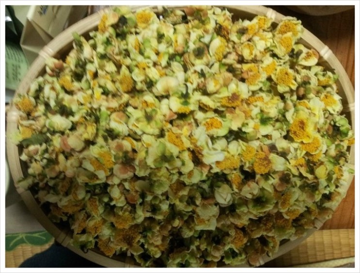 b2399830103a176fdc51c31411465b3e_1615177306_015.jpg b2399830103a176fdc51c31411465b3e_1615177306_015.jpg