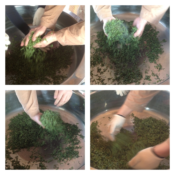 b2399830103a176fdc51c31411465b3e_1615177610_7357.jpg b2399830103a176fdc51c31411465b3e_1615177610_7357.jpg