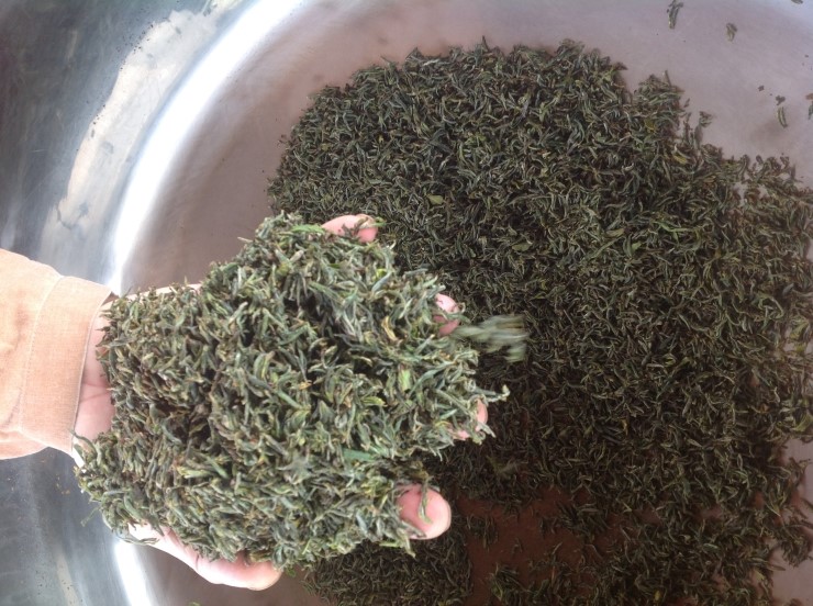 b2399830103a176fdc51c31411465b3e_1615177610_9653.jpg b2399830103a176fdc51c31411465b3e_1615177610_9653.jpg