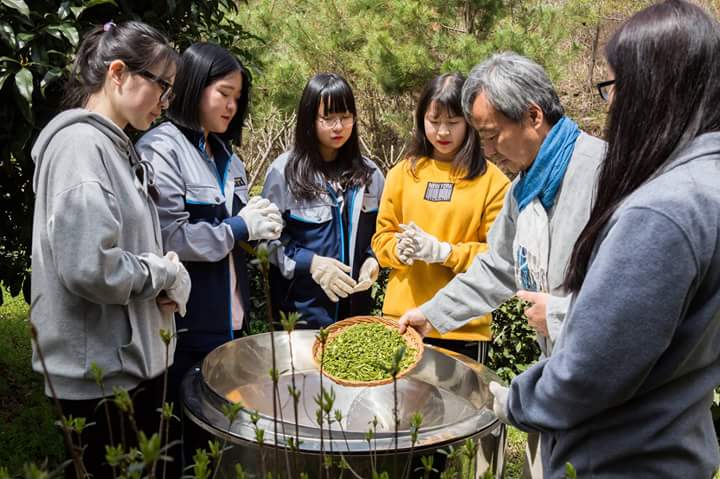 b2399830103a176fdc51c31411465b3e_1615179455_4746.jpg b2399830103a176fdc51c31411465b3e_1615179455_4746.jpg