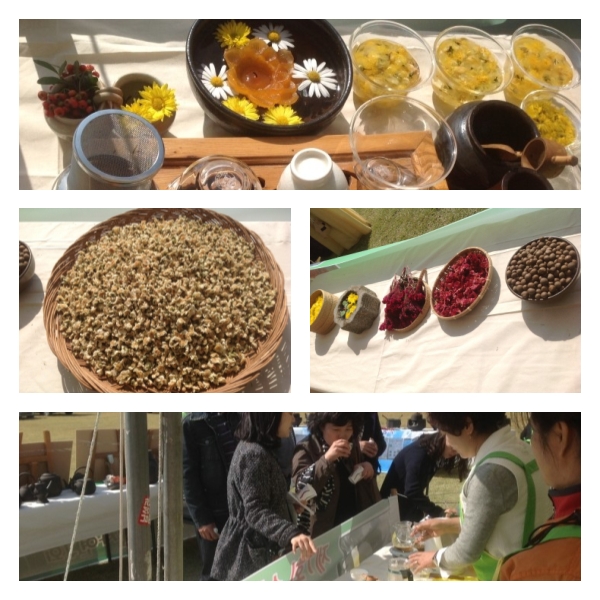 b2399830103a176fdc51c31411465b3e_1615179788_6627.jpg b2399830103a176fdc51c31411465b3e_1615179788_6627.jpg