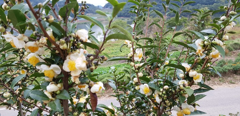 b2399830103a176fdc51c31411465b3e_1615180159_0048.jpg b2399830103a176fdc51c31411465b3e_1615180159_0048.jpg