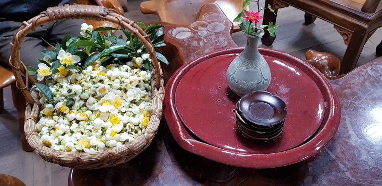 b2399830103a176fdc51c31411465b3e_1615180159_454.jpg b2399830103a176fdc51c31411465b3e_1615180159_454.jpg