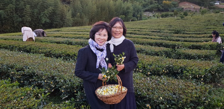 b2399830103a176fdc51c31411465b3e_1615180159_9493.jpg b2399830103a176fdc51c31411465b3e_1615180159_9493.jpg