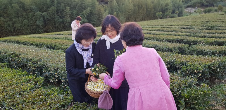 b2399830103a176fdc51c31411465b3e_1615180164_334.jpg b2399830103a176fdc51c31411465b3e_1615180164_334.jpg