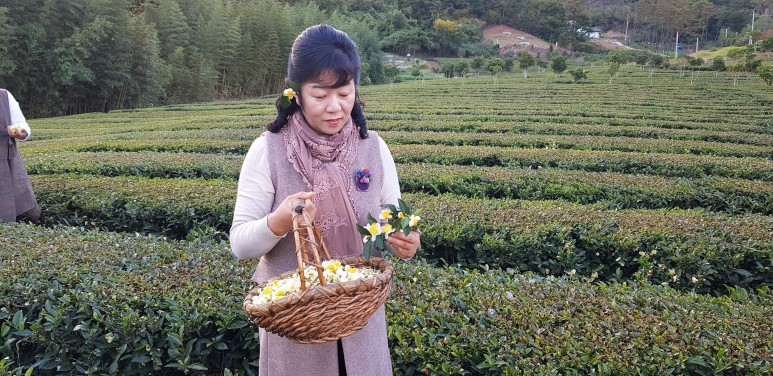 b2399830103a176fdc51c31411465b3e_1615180164_4542.jpg b2399830103a176fdc51c31411465b3e_1615180164_4542.jpg