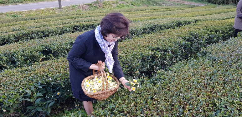 b2399830103a176fdc51c31411465b3e_1615180164_5554.jpg b2399830103a176fdc51c31411465b3e_1615180164_5554.jpg