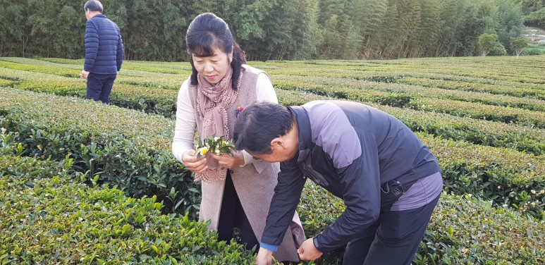 b2399830103a176fdc51c31411465b3e_1615180164_7442.jpg b2399830103a176fdc51c31411465b3e_1615180164_7442.jpg