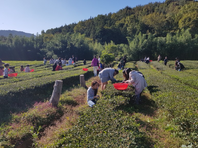 b2399830103a176fdc51c31411465b3e_1615180427_016.jpg b2399830103a176fdc51c31411465b3e_1615180427_016.jpg