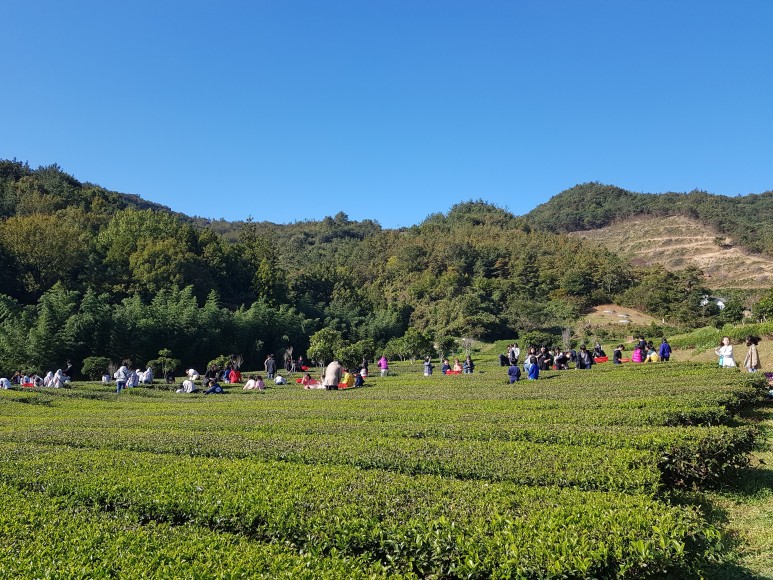 b2399830103a176fdc51c31411465b3e_1615180427_1248.jpg b2399830103a176fdc51c31411465b3e_1615180427_1248.jpg