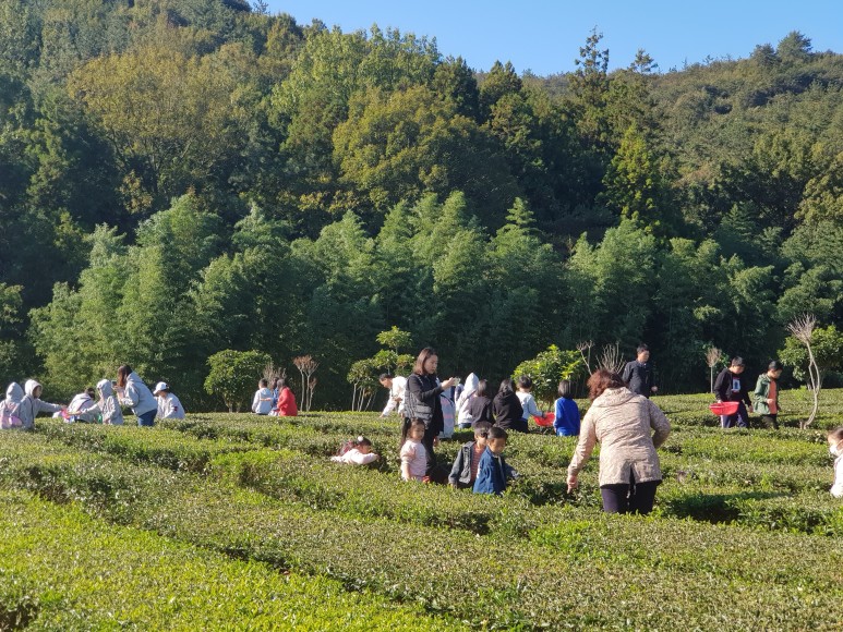 b2399830103a176fdc51c31411465b3e_1615180427_2325.jpg b2399830103a176fdc51c31411465b3e_1615180427_2325.jpg