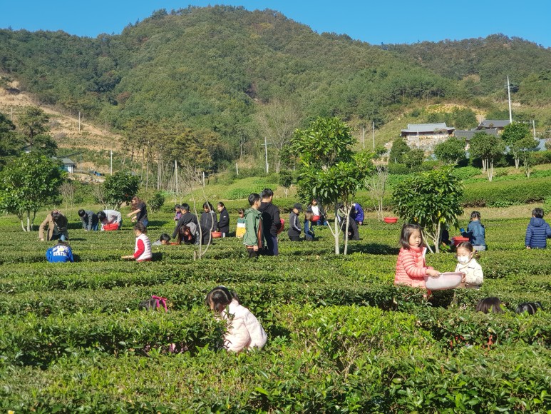 b2399830103a176fdc51c31411465b3e_1615180427_3481.jpg b2399830103a176fdc51c31411465b3e_1615180427_3481.jpg