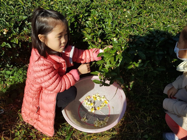 b2399830103a176fdc51c31411465b3e_1615180427_4638.jpg b2399830103a176fdc51c31411465b3e_1615180427_4638.jpg