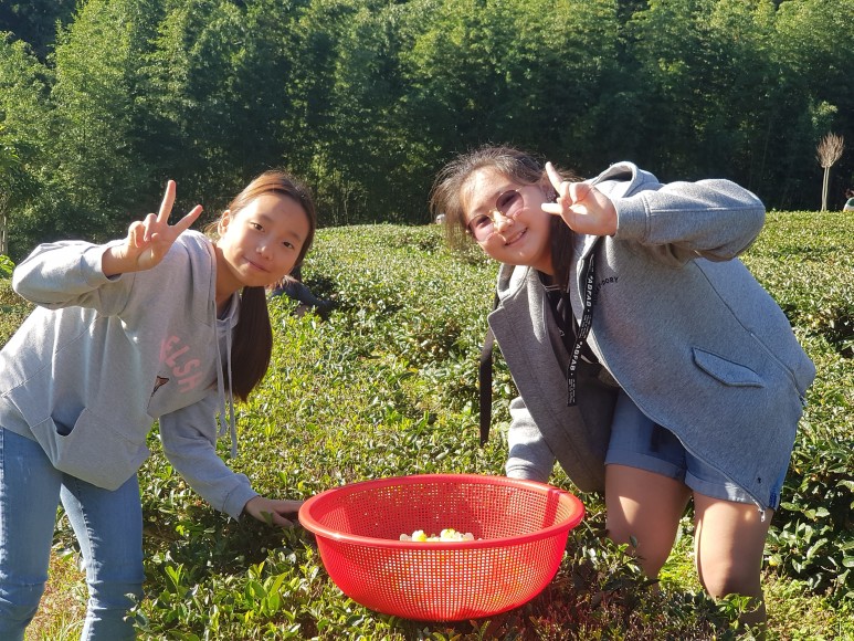 b2399830103a176fdc51c31411465b3e_1615180427_8523.jpg b2399830103a176fdc51c31411465b3e_1615180427_8523.jpg