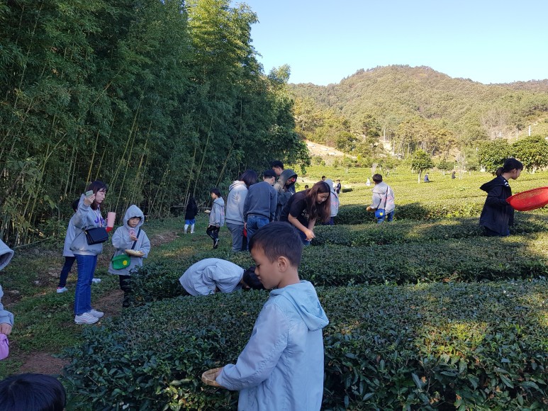 b2399830103a176fdc51c31411465b3e_1615180434_0537.jpg b2399830103a176fdc51c31411465b3e_1615180434_0537.jpg