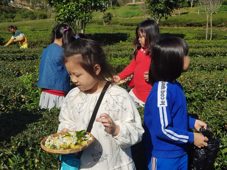 b2399830103a176fdc51c31411465b3e_1615180434_4241.jpg b2399830103a176fdc51c31411465b3e_1615180434_4241.jpg