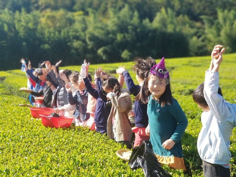 b2399830103a176fdc51c31411465b3e_1615180434_7545.jpg b2399830103a176fdc51c31411465b3e_1615180434_7545.jpg