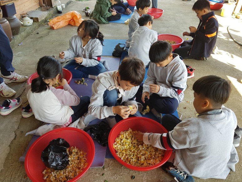 b2399830103a176fdc51c31411465b3e_1615180451_5075.jpg b2399830103a176fdc51c31411465b3e_1615180451_5075.jpg