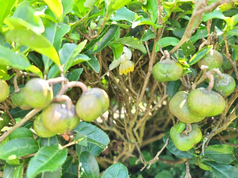 b2399830103a176fdc51c31411465b3e_1615180736_717.jpg b2399830103a176fdc51c31411465b3e_1615180736_717.jpg