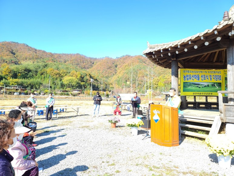 b2399830103a176fdc51c31411465b3e_1615180744_7053.jpg b2399830103a176fdc51c31411465b3e_1615180744_7053.jpg