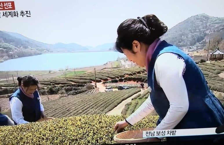 b2399830103a176fdc51c31411465b3e_1615180752_2841.jpg b2399830103a176fdc51c31411465b3e_1615180752_2841.jpg