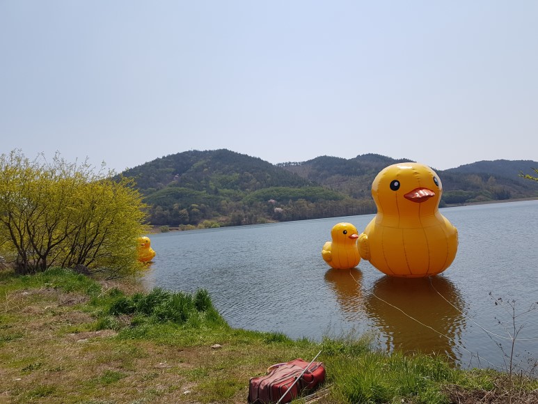 b2399830103a176fdc51c31411465b3e_1615181435_7699.jpg b2399830103a176fdc51c31411465b3e_1615181435_7699.jpg