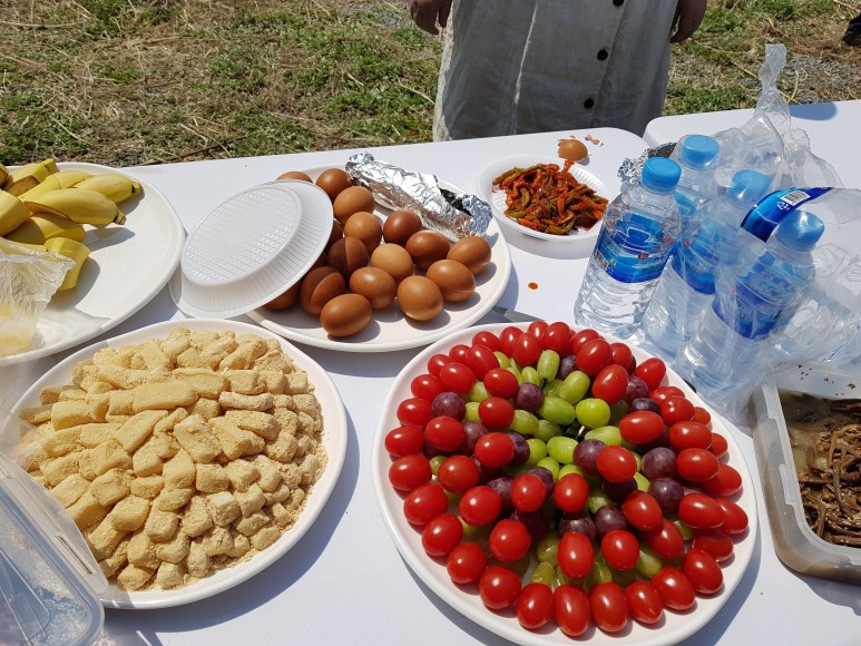 b2399830103a176fdc51c31411465b3e_1615181436_0745.jpg b2399830103a176fdc51c31411465b3e_1615181436_0745.jpg