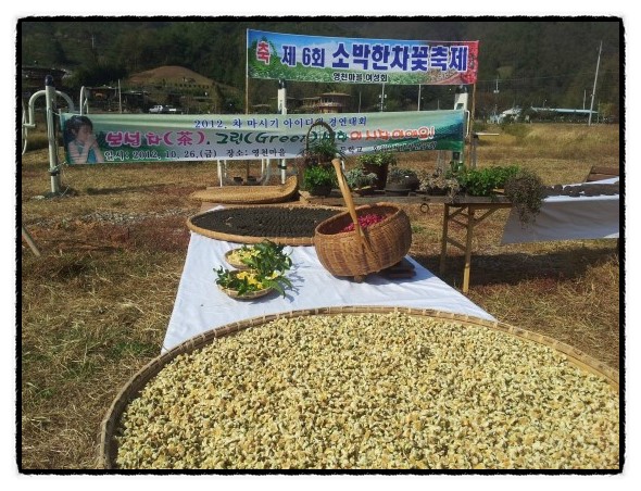 b2399830103a176fdc51c31411465b3e_1615182069_5161.jpg b2399830103a176fdc51c31411465b3e_1615182069_5161.jpg