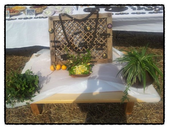 b2399830103a176fdc51c31411465b3e_1615182069_794.jpg b2399830103a176fdc51c31411465b3e_1615182069_794.jpg