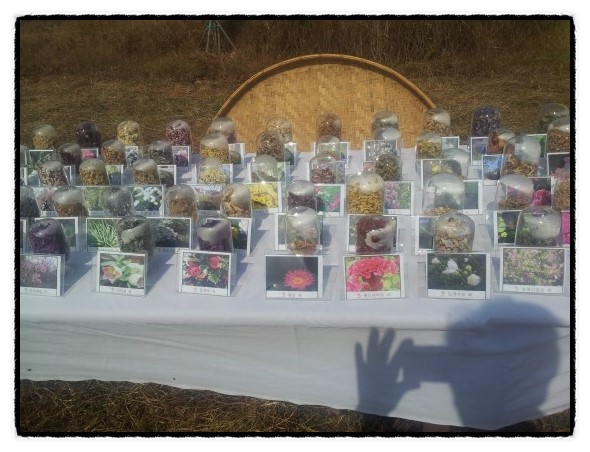 b2399830103a176fdc51c31411465b3e_1615182069_8849.jpg b2399830103a176fdc51c31411465b3e_1615182069_8849.jpg