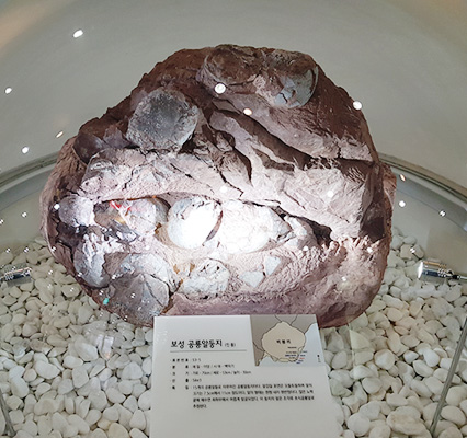 공룡알 전시물