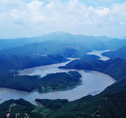 Aerial View of Juamho