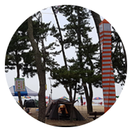 캠핑을 즐기고 있는 해변전경